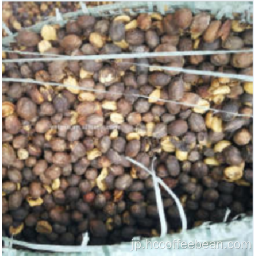 天然の殻付きコーヒー豆を供給する